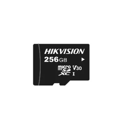 HS-TF-L2-256G-P.webp
